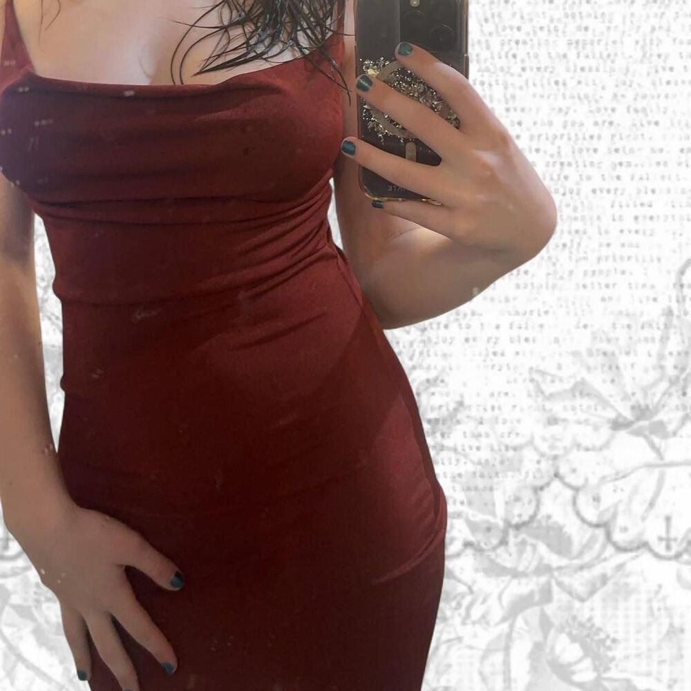 Windsor Women's Red and Burgundy Dress